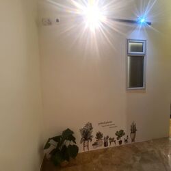 Changi Court (D16), Condominium #422672741